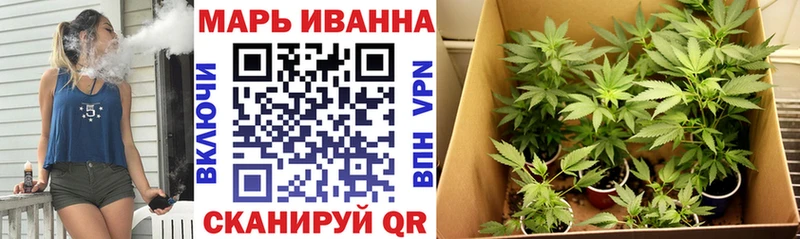 МАРИХУАНА план  что такое   Волоколамск 